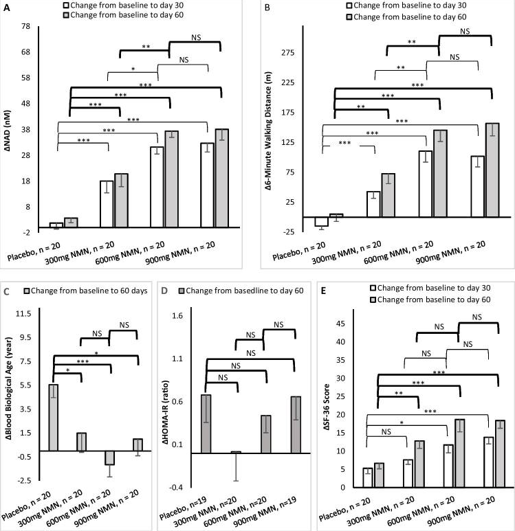 安慰劑組和三個NMN治療組60天療效變化