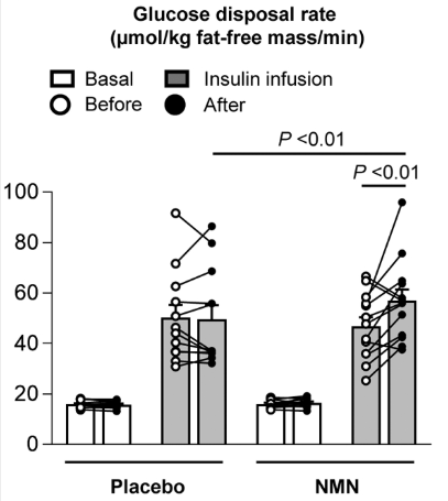 NMN 組（n=13）和安慰劑組（n=12）對胰島素刺激的葡萄糖處置率的影響