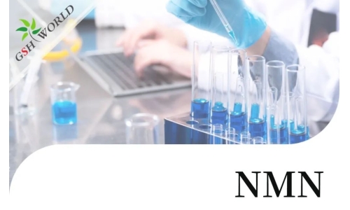 行業關注 - NMN最新研究進展