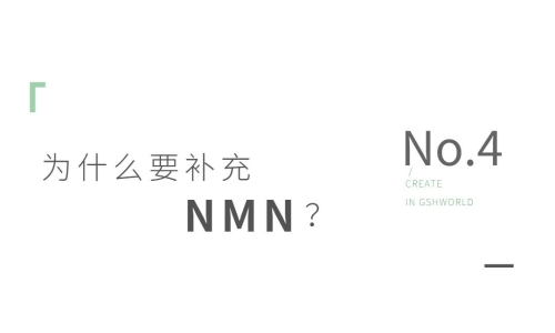 NMN——身體內的抗氧化劑、免疫調節劑和抗炎藥