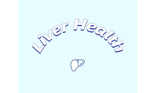哪些原料可助力肝臟健康？